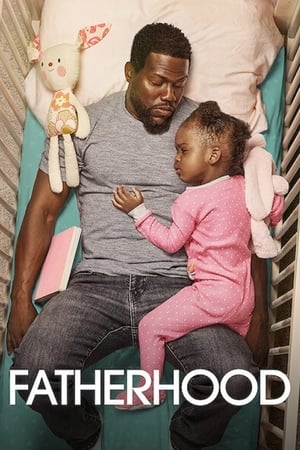 Fatherhood (2021) Hindi Dual Audio 480p WebRip 350MB