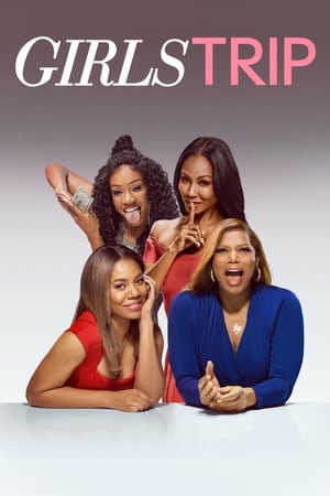 Girls Trip (2017) Hindi Dual Audio 720p BluRay [1GB]