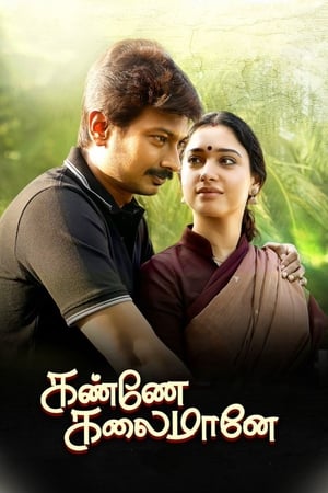 Kanne Kalaimaane 2019 (Hindi -Tamil) Dual Audio 720p UnCut HDRip [1GB]