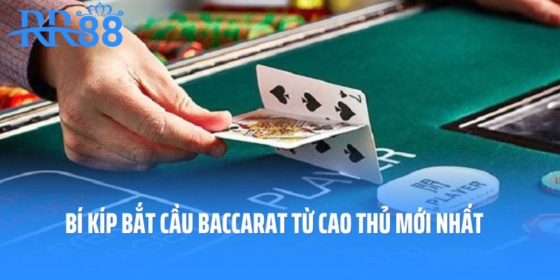 Bí Kíp Bắt Cầu Baccarat Từ Cao Thủ Mới Nhất