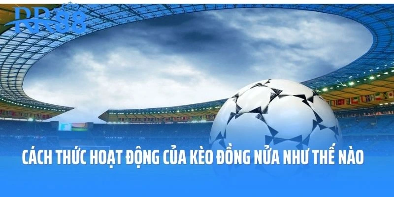 Cách thức hoạt động của kèo đồng nửa như thế nào