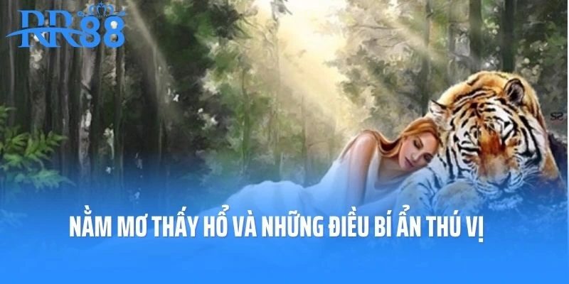 Nằm Mơ Thấy Hổ Và Những Điều Bí Ẩn Thú Vị Đằng Sau Giấc Mơ